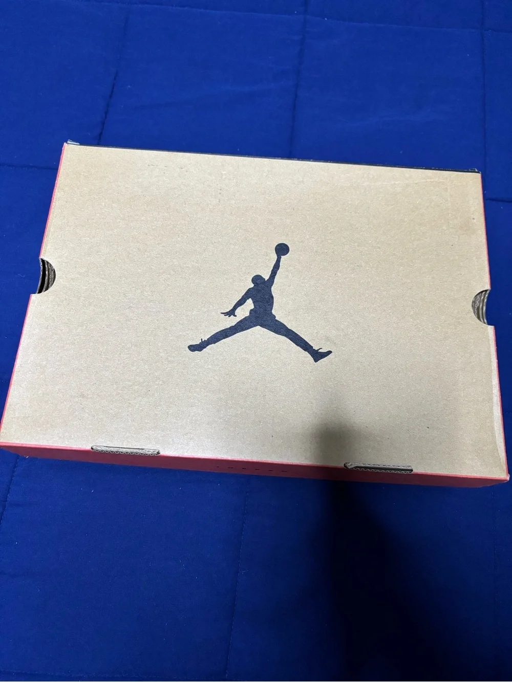 Jordan 12 Retro Field Purple 2023 Size 11.5